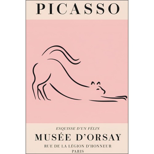 PP-el-gato-mockup 2.jpg