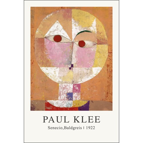 Senecio_Baldegreis_mockup 2.jpg