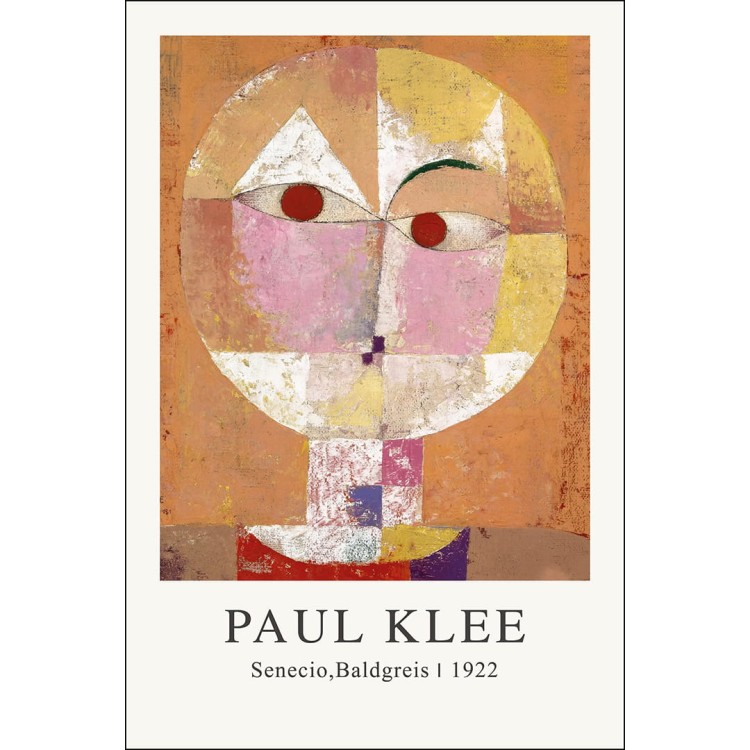 Senecio_Baldegreis_mockup 2.jpg