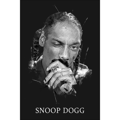 Snoop_dogg-mockup1.jpg