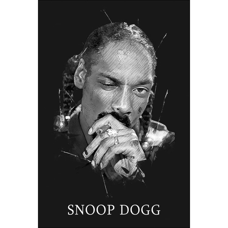 Snoop_dogg-mockup1.jpg