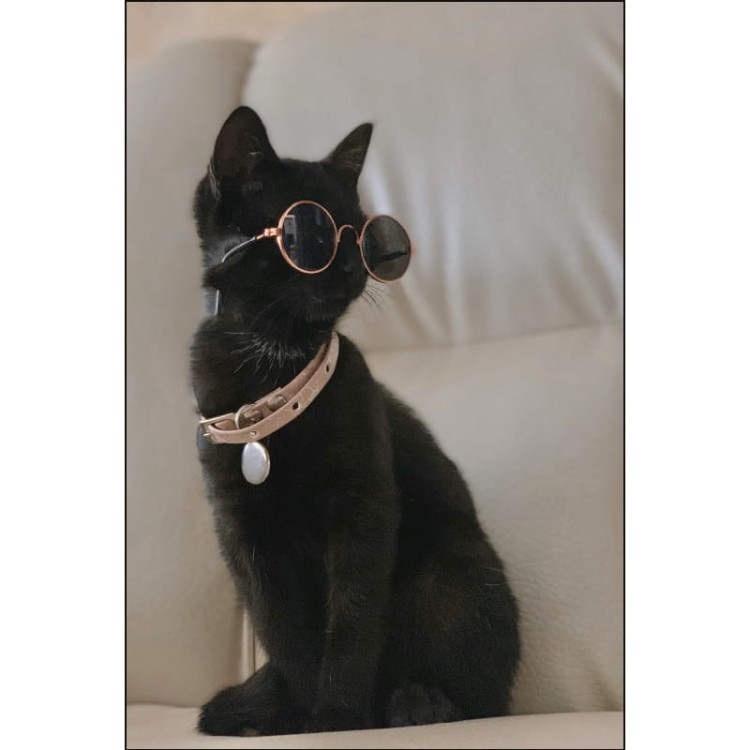 CZARNY KOTEK W OKULARACH_MOCKUP.jpg