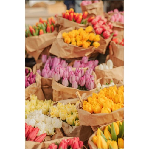 BUKIETY TULIPANÓW_MOCKUP.jpg