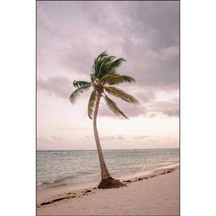 PALMA NAD MORZEM_MOCKUP.jpg