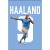 Haaland-mockup3.jpg