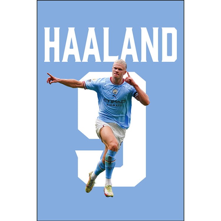 Haaland-mockup3.jpg