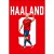 Haaland-mockup4.jpg
