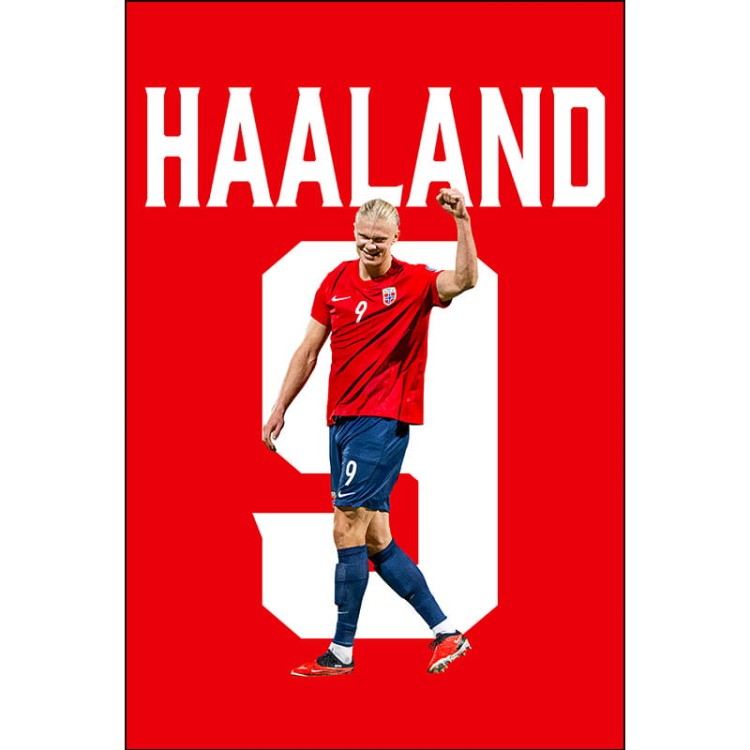 Haaland-mockup4.jpg
