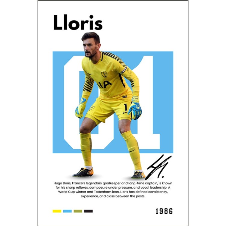 Lloris_Mockup.jpg