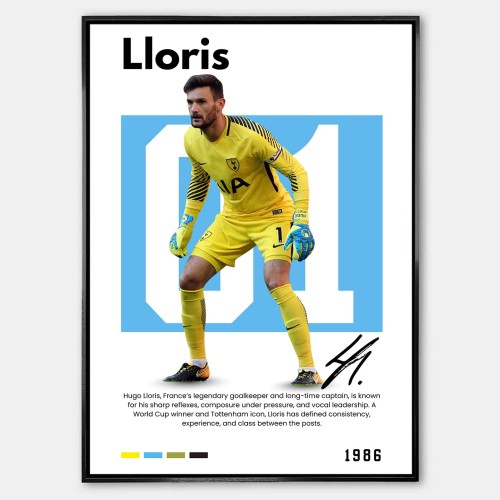 Lloris_Plakat.jpg