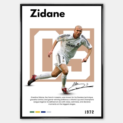 Zidane_Plakat.jpg