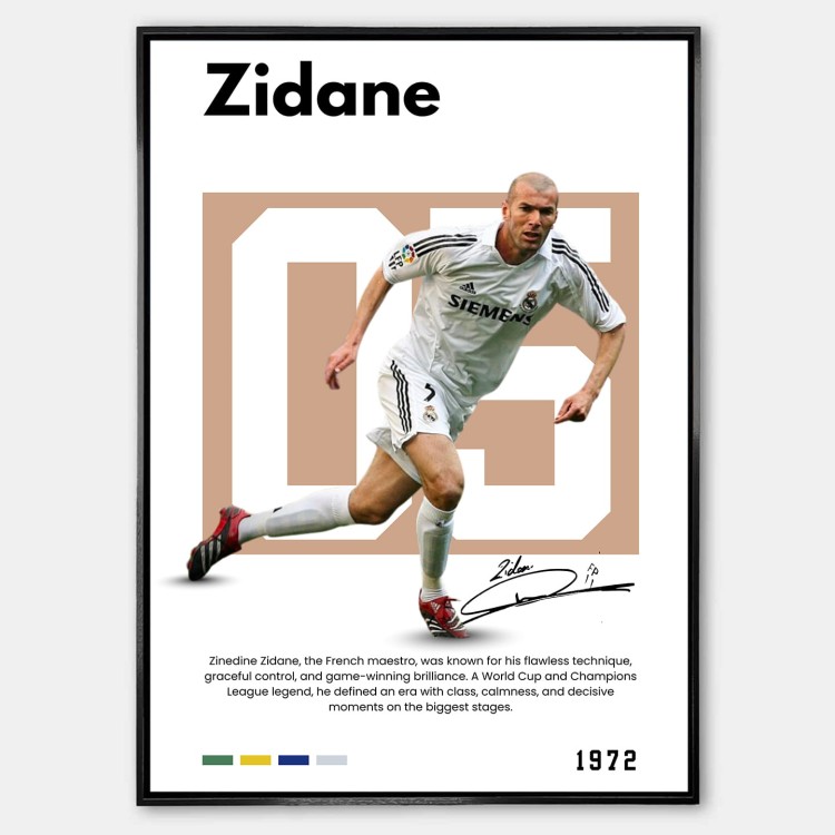 Zidane_Plakat.jpg