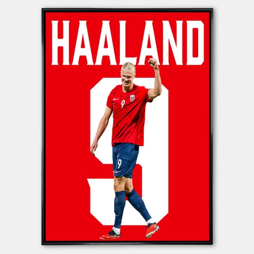 Plakat_Erling_Haaland_6.jpg