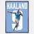 Plakat_Erling_Haaland_7.jpg