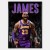 Plakat_Lebron_James_5.jpg