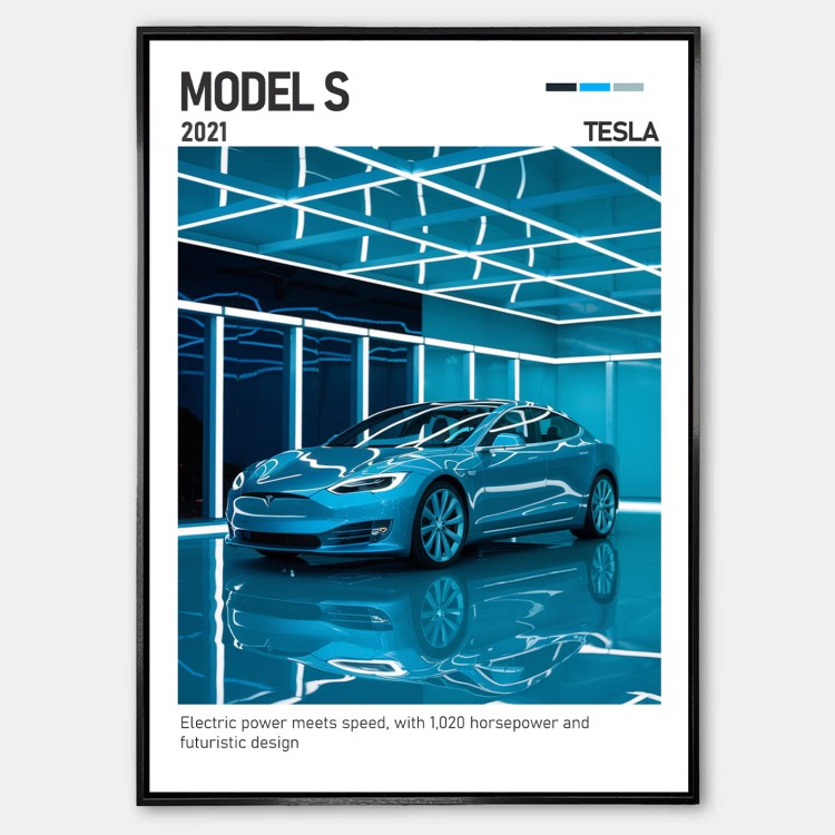 Plakat Tesla Model S Plaid.jpg