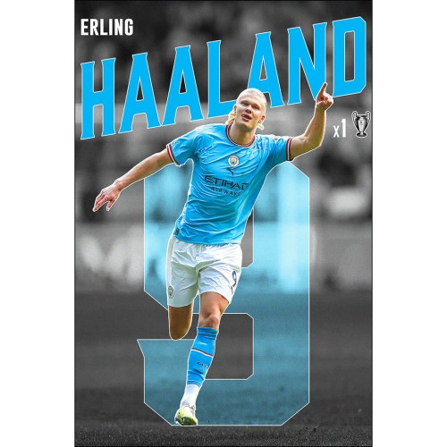Erling_Haaland_mockup2.jpg