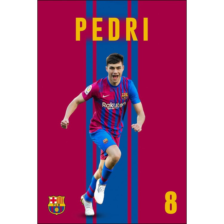 Pedri_mockup2.jpg